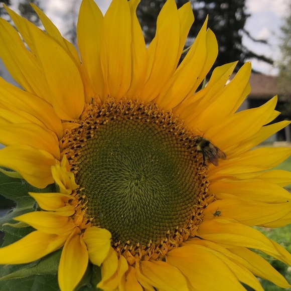 Meet your Posher, Taylee - Picture 1 of 1